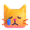 crying cat
